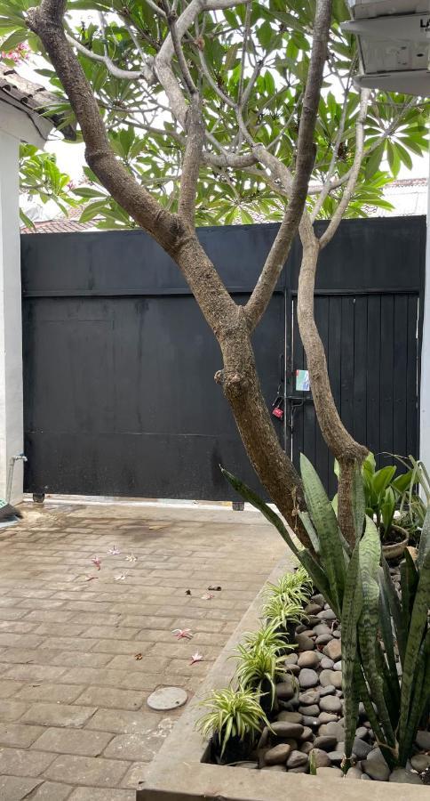 Chic And Cozy Studio Canggu Zewnętrze zdjęcie